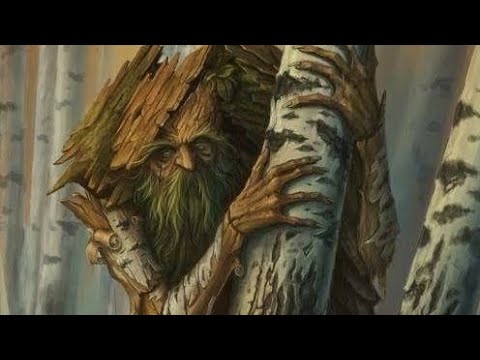 Видео: ДЛ - ЛЕШИЙ - СРОЧНО‼️🔑📣📣⚠️⚠️🚨🚨🍀🌈🌞🌳