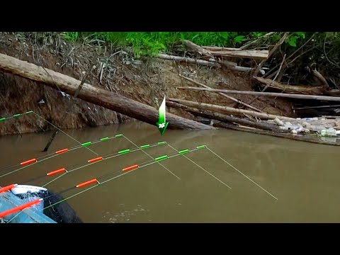 Видео: Речная рыбалка во время отлива - Ловля креветок