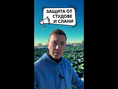 Видео: Как защитаваме растенията си от ниските температури и сланите