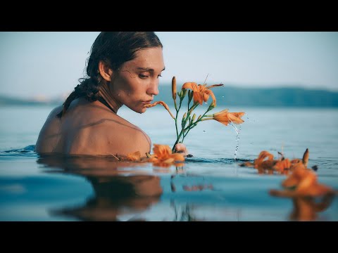 Видео: Nikon d780: обзор и личный опыт, славное продолжение "эпохи зеркалок" xddddd
