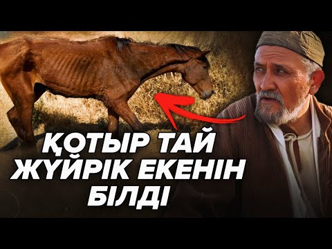 Видео: БЕЖУДІҢ СЫНШЫЛЫҒЫ❗
