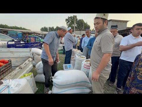 Видео: МОЛБОЗОРИ КИРКЙИЛЛИК НАРХИ ГАНДУМ ЖАВ ЖУГОРИ БУКА ВА 29 июня 2024 г.