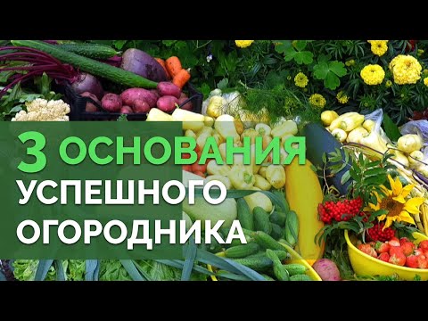 Видео: Экологичное овощеводство: итоги | Технология изобилия