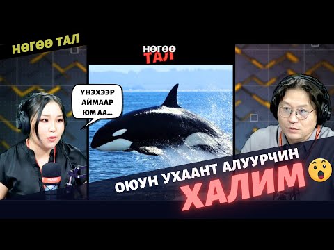 Видео: Нөгөө тал | 2025-01-23 | Оюун ухаант алуурчин халим