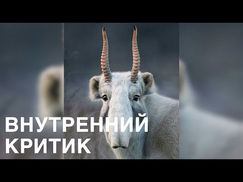 Видео: Виктория Дубинская. Внутренний критик. Техники работы.
