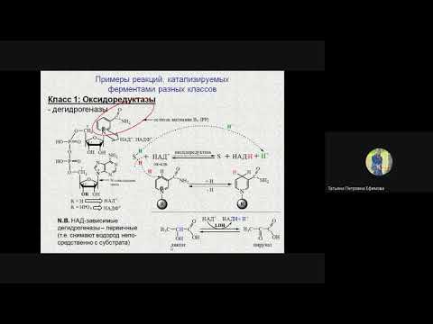 Видео: БиоОргХ_ЕфимоваТП_5