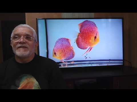 Видео: Советы начинающим 8 (Почему мутнеет вода в аквариуме?)