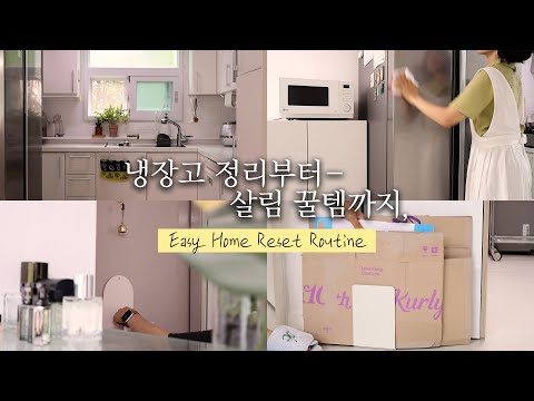 Видео: Уборка холодильника🫧 Пыль, пятна, лайфхаки Daiso и дезинфекция｜Домашний влог