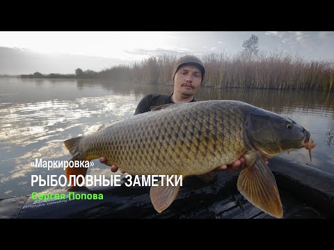 Видео: "Маркировка". Рыболовные заметки Сергея Попова - 4 Серия.