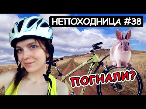 Видео: ВЕЛОПОХОД ПО ХАКАСИИ. НАШЛА ПУСТОЙ КЕМПИНГ И ЗАНОЧЕВАЛА. НЕПОХОДНИЦА