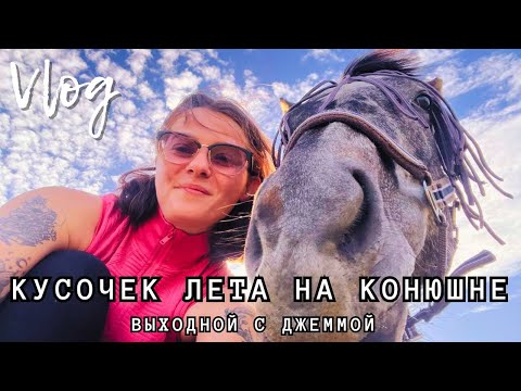 Видео: Кусочек лета на конюшне