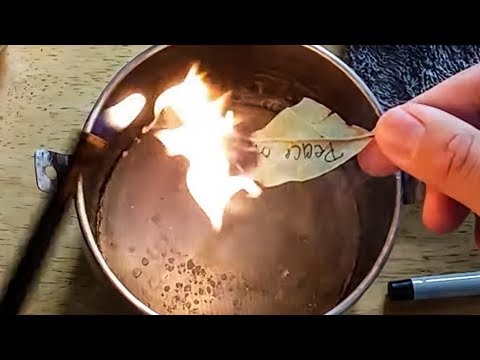 Видео: Лавровый лист: исполнит желания, принесёт удачу, здоровье и любовь. Нужно лишь поджечь...