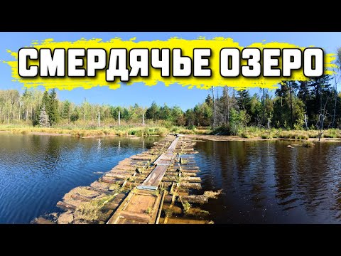 Видео: Смердячье озеро