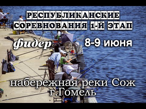 Видео: Первый этап чемпионата Республики Беларусь по фидеру 2024. Видео отчет