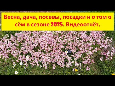 Видео: Весна, дача, посевы, посадки. И конечно же о том и сём. Сезон 2025. Видеоотчёт.