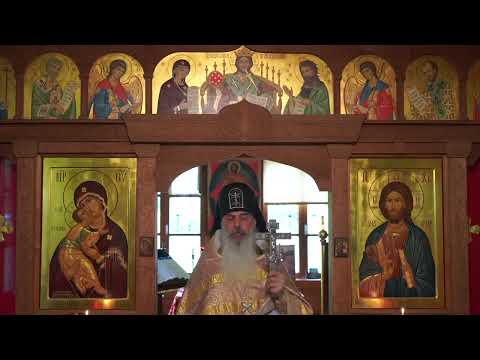 Видео: Могут ли демоны управлять людьми.