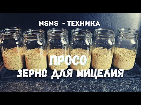 Видео: Просо - без варки и замачивания, зерно для мицелия