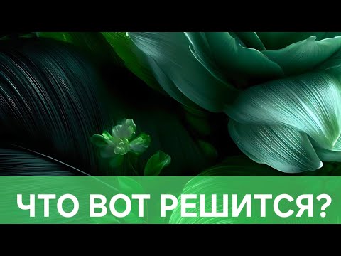 Видео: ЧТО ВОТ-ВОТ РЕШИТСЯ?🥰🥰🥰🥰🥰🥰🥰