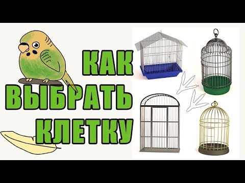 Видео: КЛЕТКА ДЛЯ ПОПУГАЯ | КАК ВЫБРАТЬ УДОБНУЮ КЛЕТКУ ДЛЯ ПОПУГАЕВ | ОБЗОР КЛЕТОК