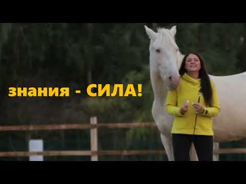 Видео: 5 ошибок