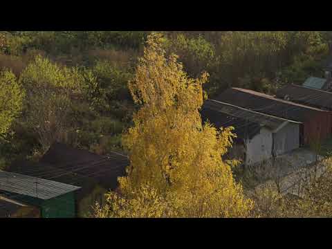 Видео: Осень в Туле(5)