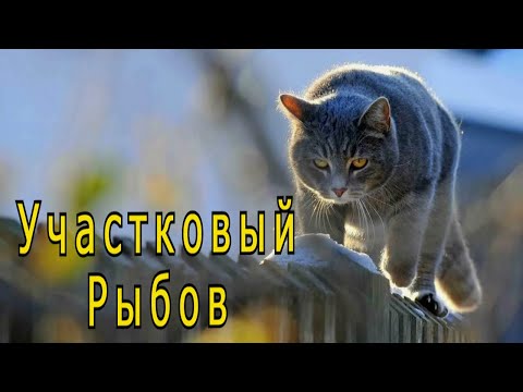 Видео: "Участковый Рыбов". Александр Райн.