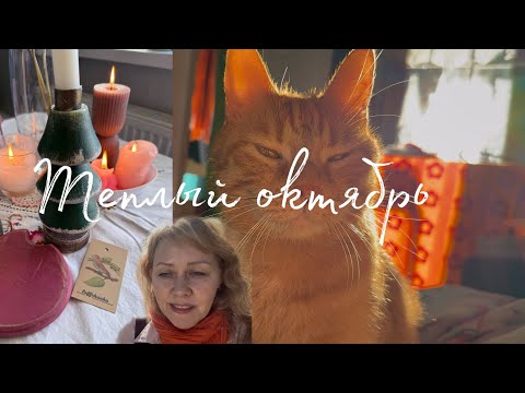 Видео: Как так получилось, что пол осени уже прошло?!😮