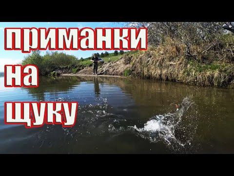 Видео: РЫБАЛКА НА СПИННИНГ С БЕРЕГА! рыбалка в забайкалье