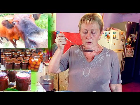Видео: Быстрый рецепт Кетчуп . Консервация на зиму