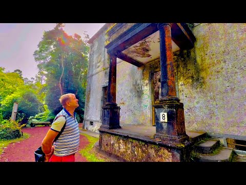 Видео: ЗАТЕРЯННЫЙ особняк, древняя аллея и УТКИ, которые растопили мое сердце и все это «GRIN ПАРК».Азоры!