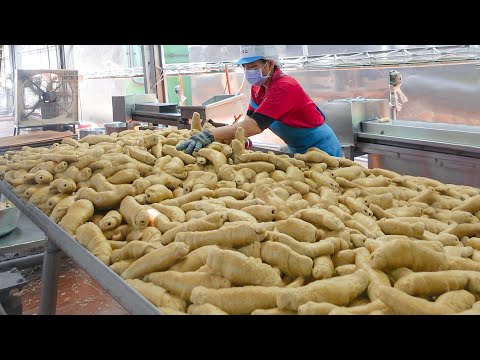 Видео: Самое большое тесто! Массовое производство сейтана (витальный глютен пшеницы) - Тайванская кухня