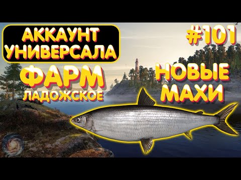 Видео: Аккаунт универсала #101 | Фарм - Ладожское Рипус | Новые махи | Русская Рыбалка 4