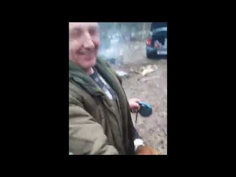 Видео: Пуховичские межрайонные испытания гончих