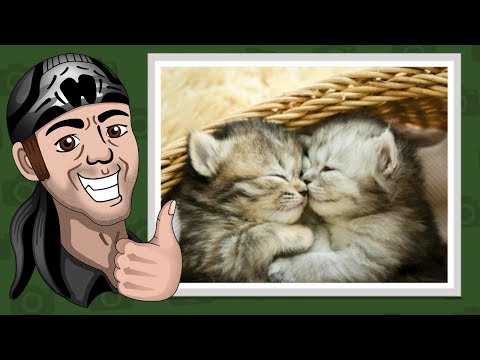 Видео: ИНТЕРНЕТ НА ВЫЖИВАНИЕ ► Выжить в интернете в JackBox Party Pack 4