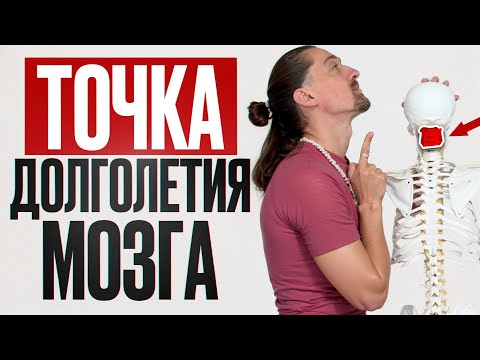 Видео: УЛУЧШИТЕ ПАМЯТЬ на 250% ЗА 1 ДВИЖЕНИЕ ПАЛЬЦЕМ! / Как продлить работу мозга до 110 лет?