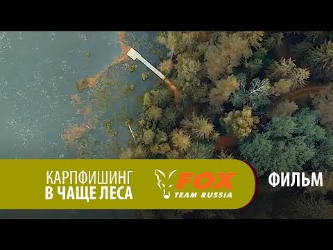 Видео: Карпфишинг в чаще леса ФИЛЬМ