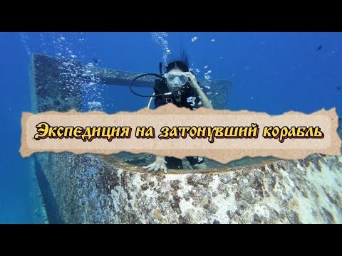 Видео: Нашли корабль под водой! 😱 Дайвинг на Пхукете