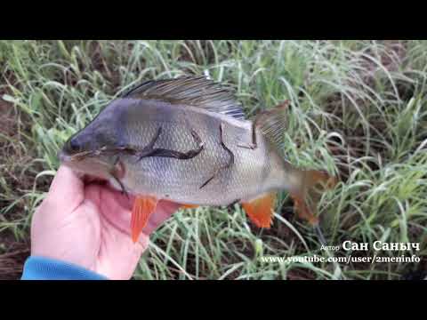 Видео: Июльская рыбалка на спиннинг, клюет везде на и на все
