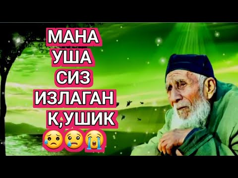 Видео: Мана уша сиз излаган кушик 😥КУРБОН ХАМДАМОВ