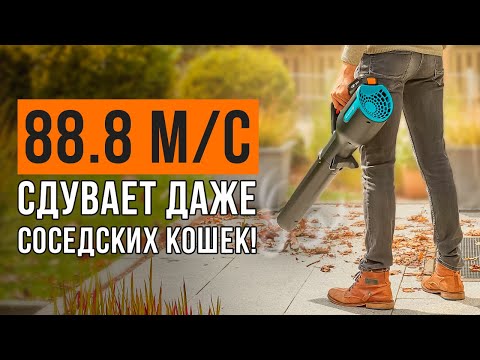 Видео: ТОП-5 аккумуляторных садовых пылесосов. Какую воздуходувку купить?