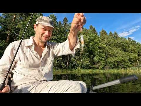 Видео: Рыбалка на Валдайском озере. 31.07.-01.08.2022