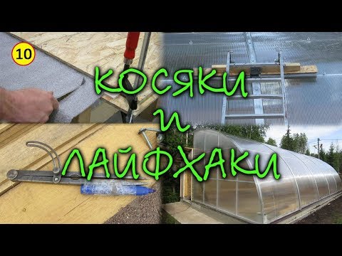 Видео: Солнечный вегетарий.  Косяки и лайфхаки