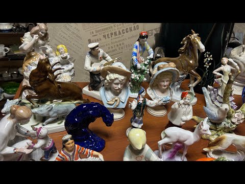 Видео: В наших краях такая рыба не водится, но редко все-таки заплывает!