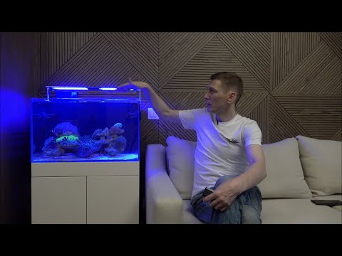 Видео: Обзор морского аквариума Middle. 7 месяцев после запуска