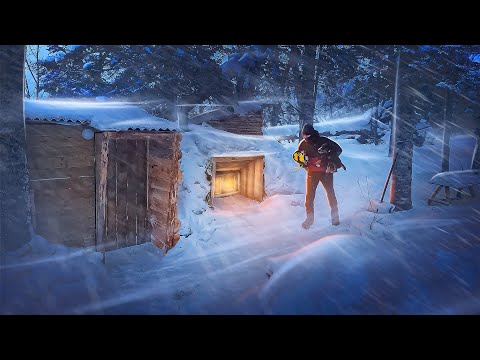 Видео: ЗЕМЛЯНКА - Укрылся от МЕТЕЛИ в ЗИМНЕМ ЛЕСУ | Ушел ЖИТЬ В ЛЕСНОЙ ДОМ | Делаю РАКОВИНУ из ДЕРЕВА