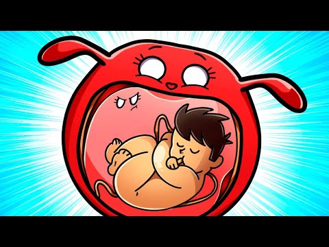 Видео: Что происходит с органами во время беременности?