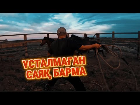 Видео: Рафхаттың қара құнан сяқтардан бөлініп қанғып кеткен еді,көзге түскен бойда қорға қамап үйге әкелдік