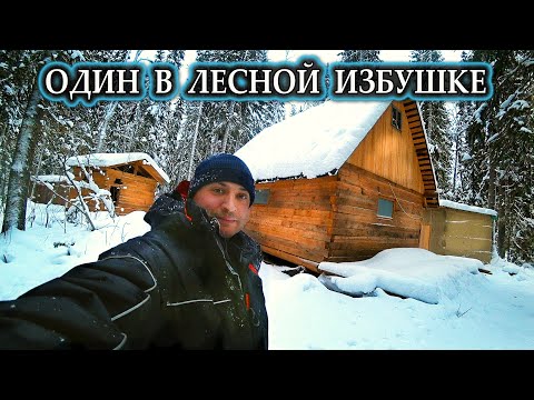 Видео: ОДИН В ТАЙГЕ \ В ЛЕСНУЮ ИЗБУ ПРИЕХАЛ, А ТАМ ГОСТИ ОСТАВИЛИ... \ ДОБЫЛ СЕБЕ ОБЕД В ЛЕСУ \ #УСТАИЧ