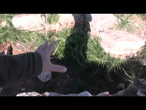 Видео: Звенящие камни - непостижимые технологии до потопа!