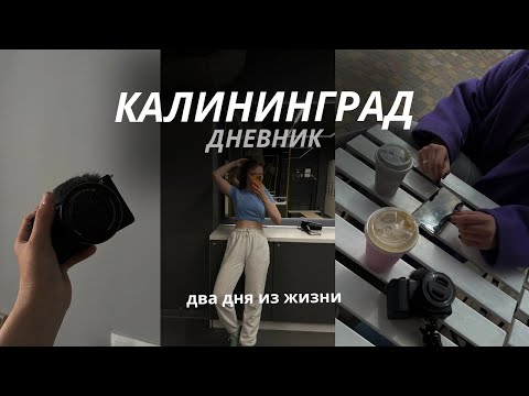 Видео: КАЛИНИНГРАД ДНЕВНИК | встреча с подругой, вкусный обед и спорт | chocowladka